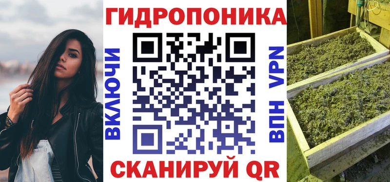 Бошки Шишки конопля  купить закладку  Владикавказ 